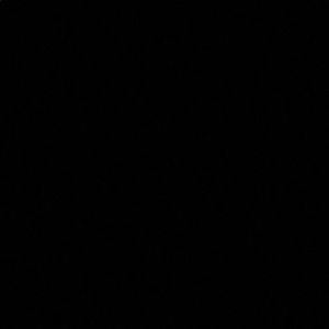 Meet your Posher, Addie